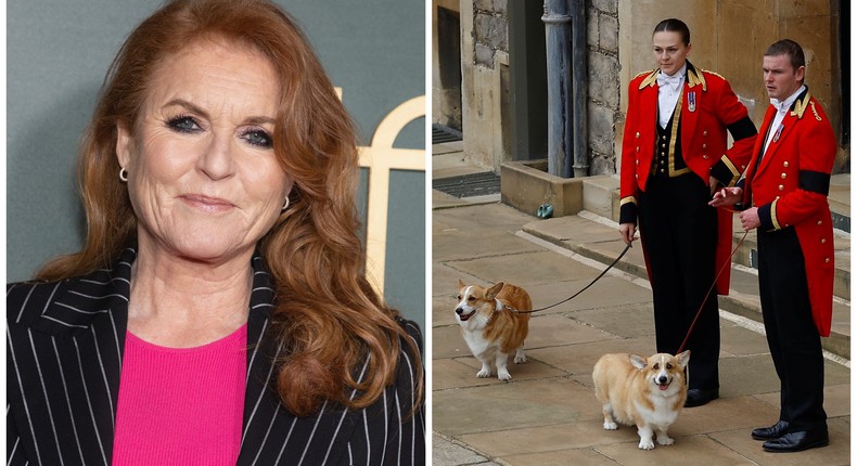 Sarah Ferguson said she thinks the Queen's corgis Muick and Sandy probably do miss her.Jo Hale/WireImage; Peter Nicholls - WPA Pool/Getty Images