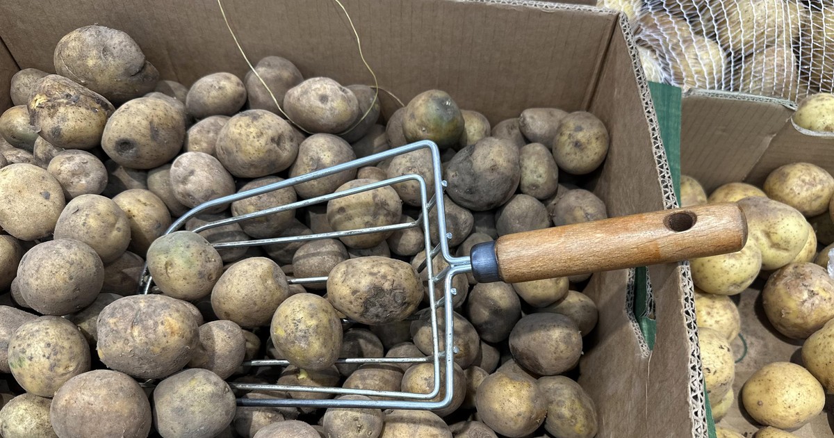 Magazyny pękają w szwach. Polscy rolnicy załamani. "Jeśli zaraz nie będzie wyraźnego ruchu..."