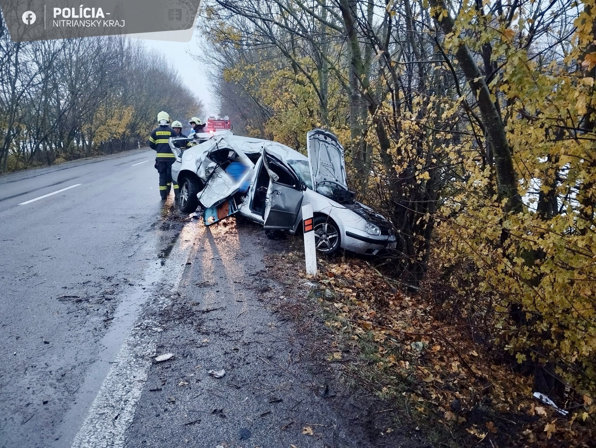 Pri dopravnej nehode pri obci Jelenec zomrela 18-ročná spolujazdkyňa.