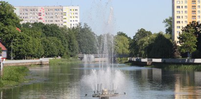 Koszmar pani Beaty. Nie może przez to spokojnie żyć