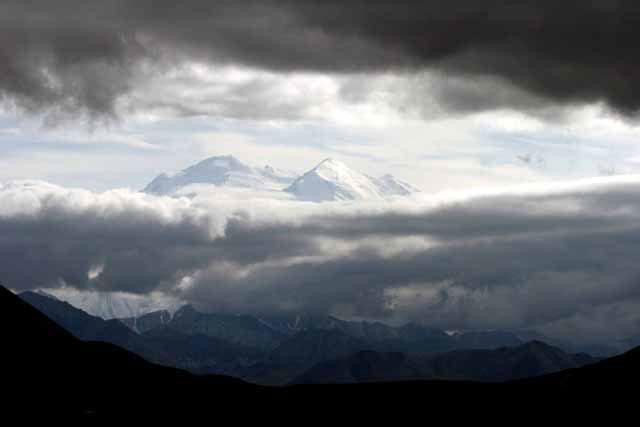 Galeria USA - Park Narodowy Denali, obrazek 28