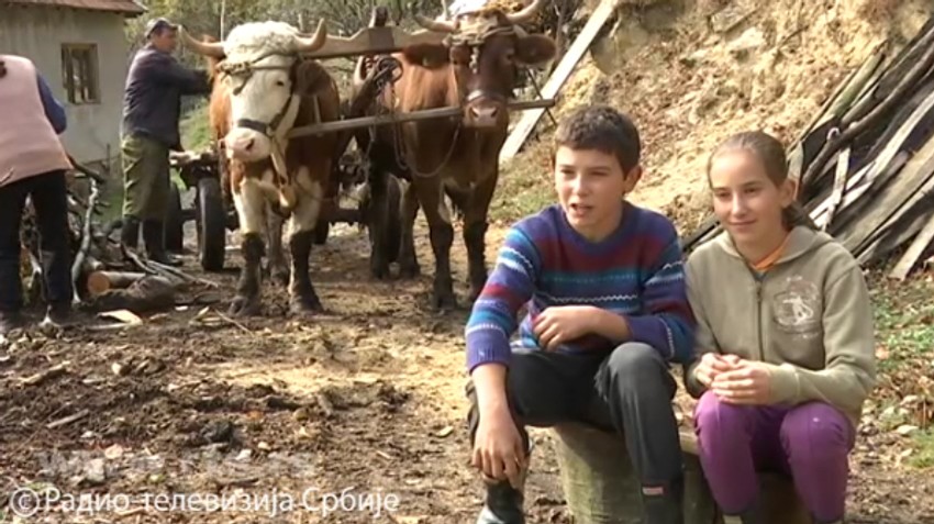 Milica i MIlan Arsenović