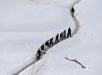 AFGHANISTAN - DISASTER ENVIRONMENT TPX IMAGES OF THE DAY