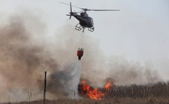 W lasach w niemal całym kraju panuje najwyższy stopień zagrożenia pożarowego