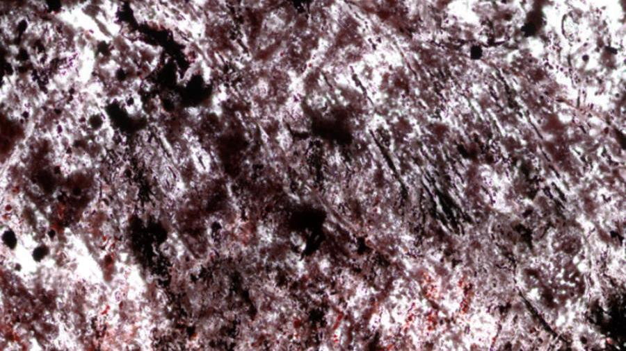 Na zdjęciu fragment analizowanej skały z mikroskamieniałościami, które według naukowców są dowodem istnienia życia 300 milionów lat po uformowaniu się Ziemi, fot. D. Papineau/ UCL