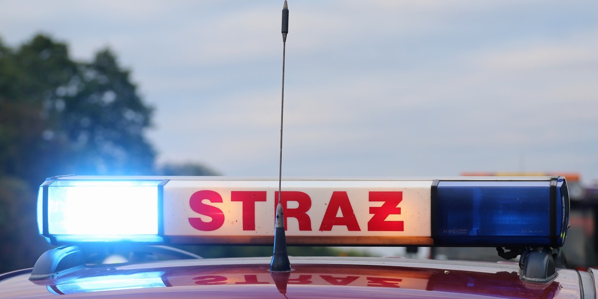 siestrzeń wypadek polski bus