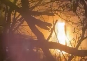 Požar na automobilu na Dorćolu