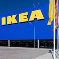 Ikea zbuduje sklep w Szczecinie. Będzie to 12. placówka sieci w Polsce