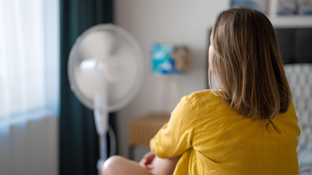 Ventilator 