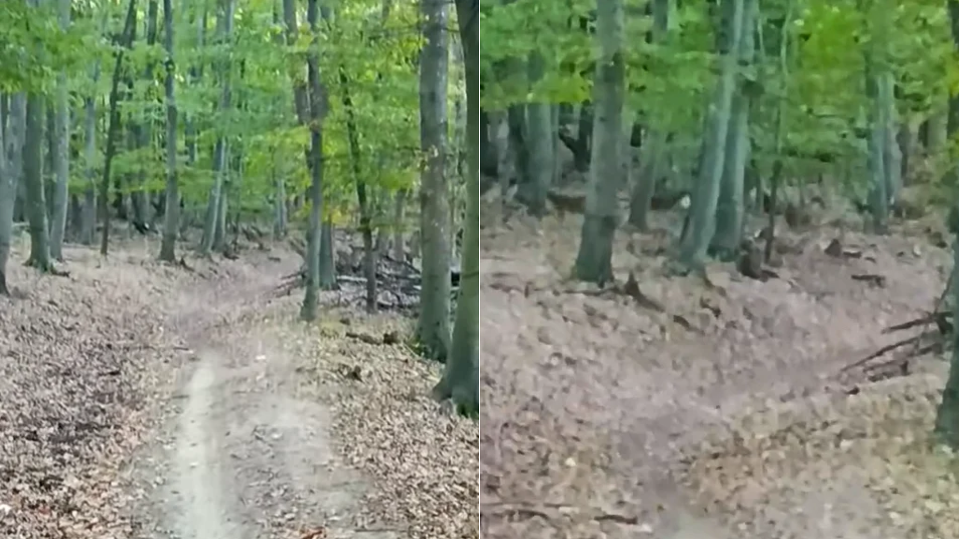 Takéto stretnutie rozhodne nečakal.