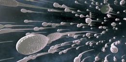 Naukowcy wykryli groźne wirusy w spermie!