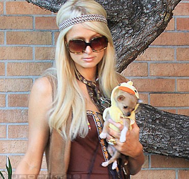 31958_paris-hilton-drog-sl-d00020555ba930764c279