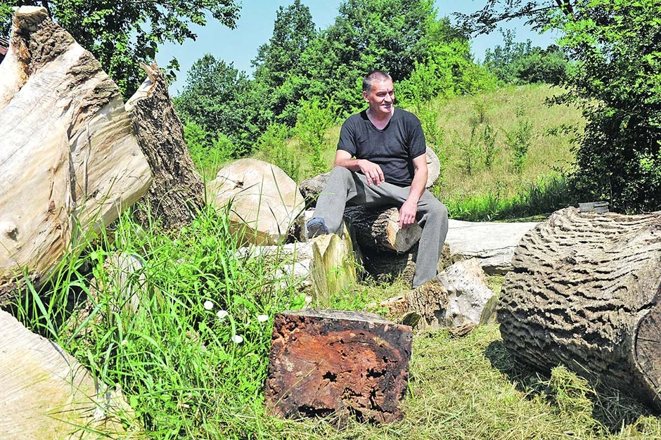 Više mu, priča, o njegovom umetničkom opusu znači mišljenje pokojne babe nego kritičara