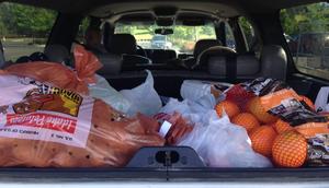 I try to do one big grocery run a month with a few smaller trips in between.Lisa Tanner