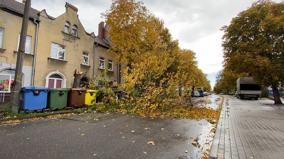 Połamane drzewa i gałęzie. Strażacy usuwają skutki silnego wiatru