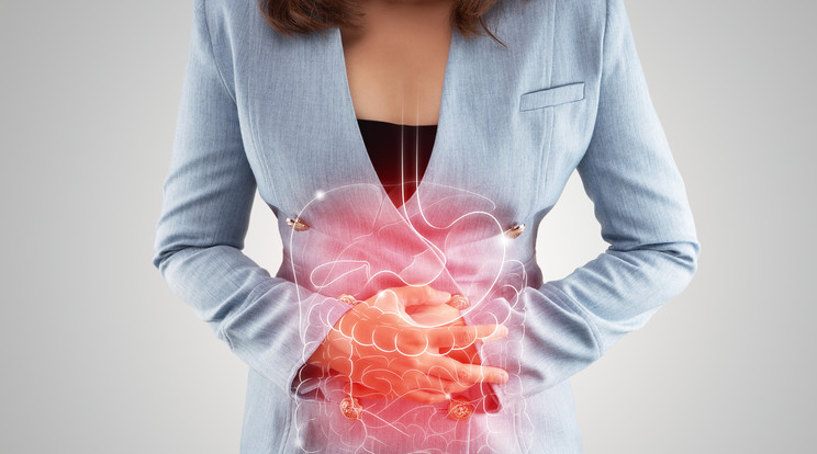 A Crohn-betegség leggyakrabban a vastagbél, illetve a vékonybél azon szakaszán jelentkezik, ahol a vastag és a vékonybél csatlakozik./Fotó: Shutterstock