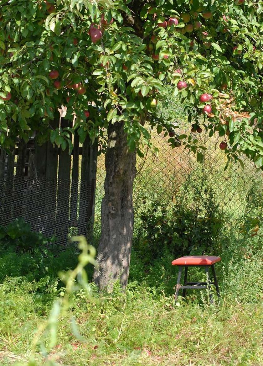 Zabił kochankę i się powiesił