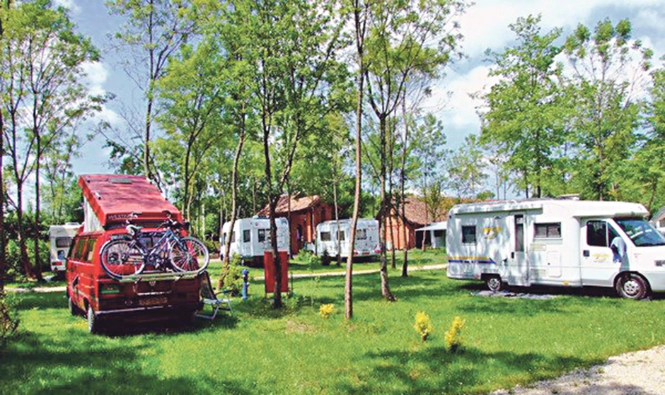 Na kampovanju u Zasavici možete probati magareće mleko