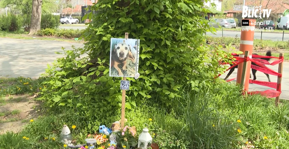 Strujni udari, Beograd