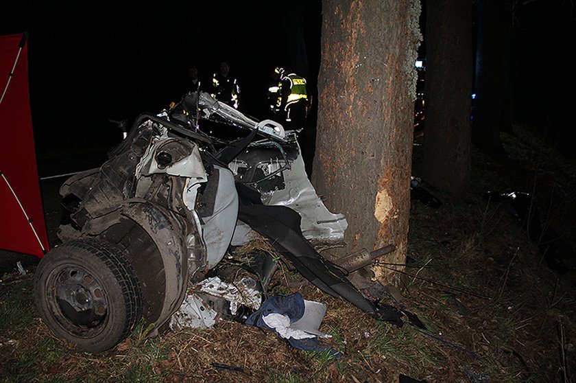 Osobówka uderzyła w drzewo. Auto rozerwało na części!