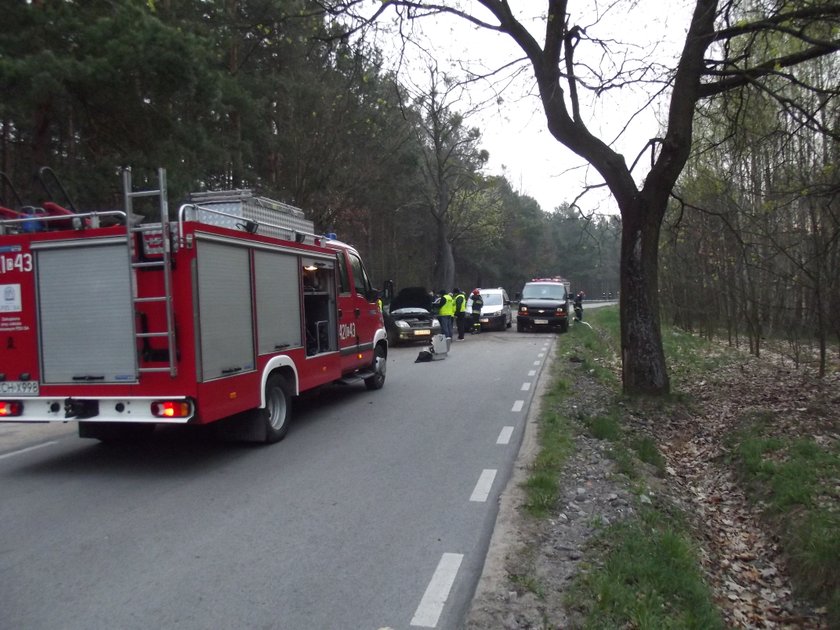 Wypadek pod Grudziądzem