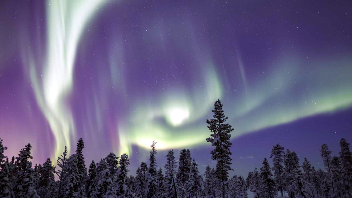 Steve to niesamowita smuga purpurowego światła, widoczna podczas zorzy polarnej. Zjawisko udało się zaobserwować dzięki astronomom-amatorom i portalom społecznościowym.