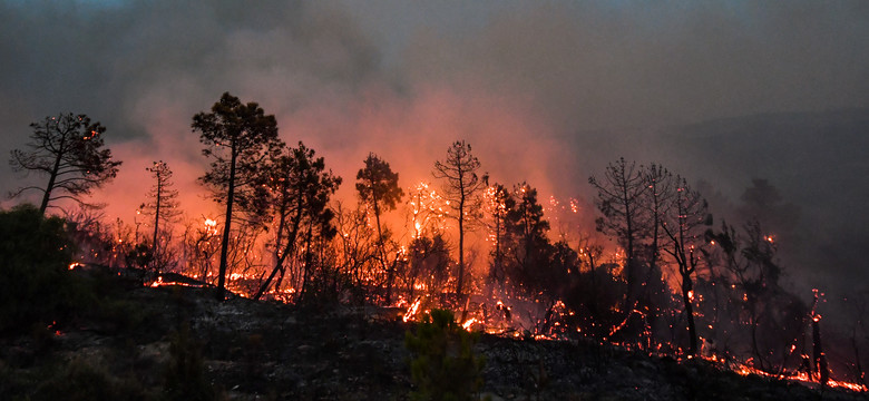 Piekło na ziemi. Tego lata wszyscy odczujemy skutki zmian klimatu