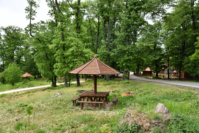 Košutnjak