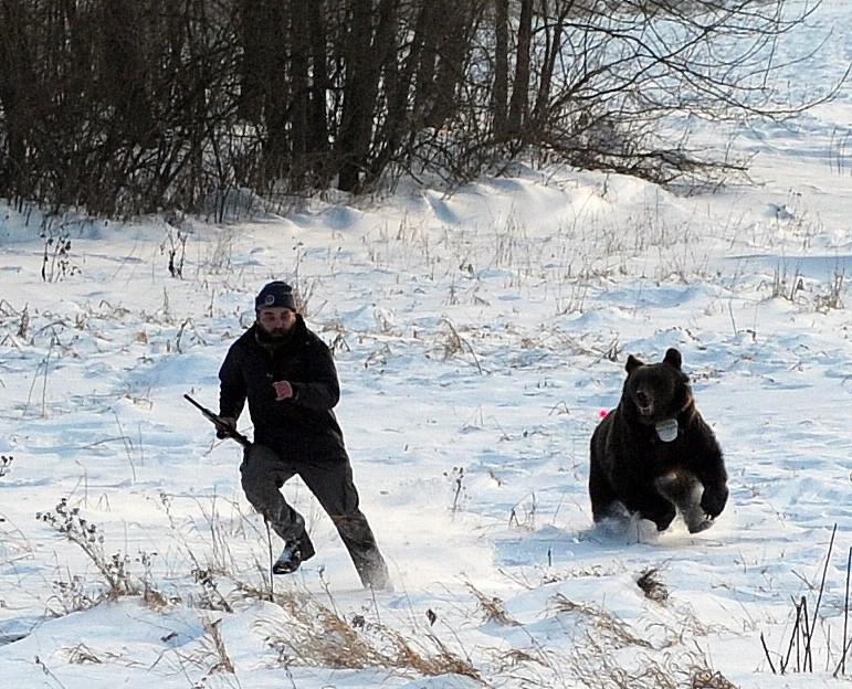 ZDJĘCIA ROKU PAP 2010