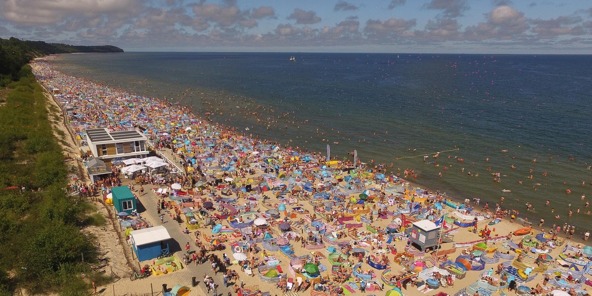 "Mięsożerne" bakterie w Bałtyku