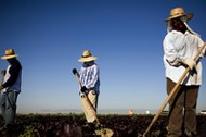 Farming For Wal-mart