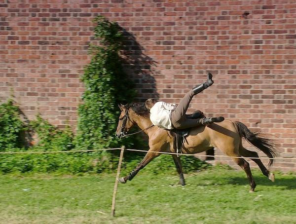 Galeria Polska - Oblężenie Malborka 2008, obrazek 8