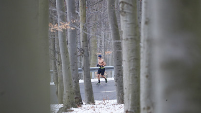 Elütötték rekordkísérlet közben a félmeztelenül futó magyar Jégember kísérőjét a Mátrában – fotók