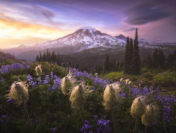 “Po drugiej stronie” (Park Narodowy Mount Ranier, USA) - Joshua Snow