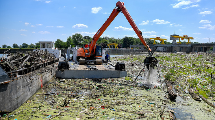 Vízügyi, civil és vállalati együttműködés segíti a Tisza hulladékmentesítését / Fotó: MTI: Czeglédi Zsolt