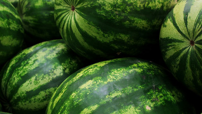 A hétvégén megérkezhetnek a piacokra az itthon termett első görögdinnyék