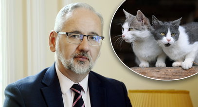 Właściciele chorych kotów pod nadzorem sanepidu. Będzie kwarantanna? Minister zabiera głos