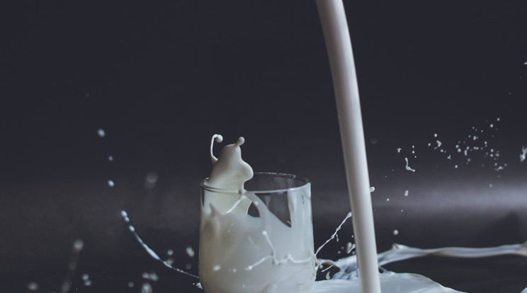 Csökkent a tej ára a boltokban / Illusztráció: Unsplash