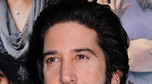 David Schwimmer