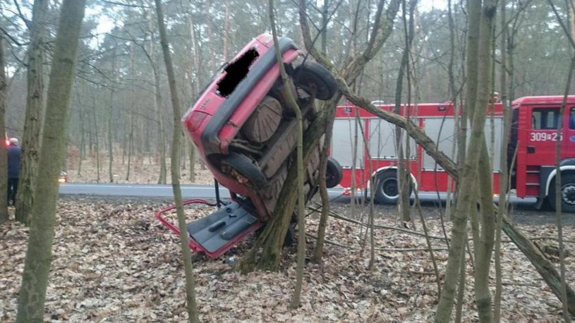 Auto wylądowało w lesie