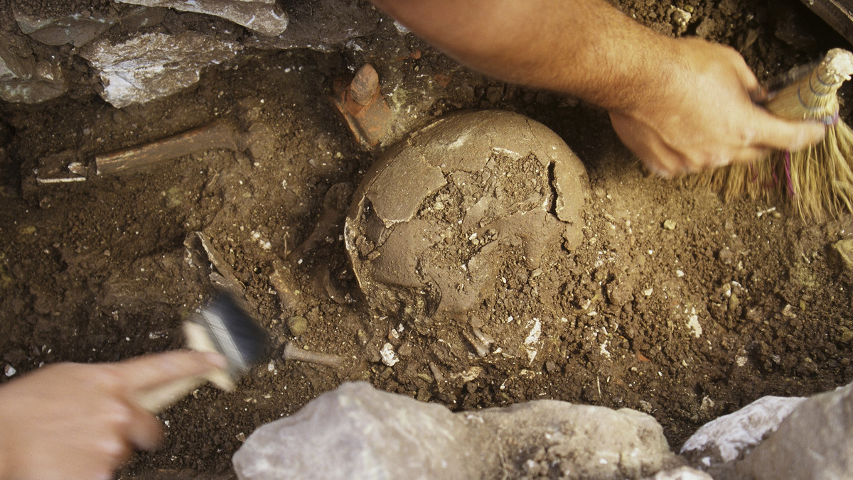 Amerykańscy archeolodzy odkryli latem na Peloponezie nietknięty grób wojownika pochowanego ponad 3 500 lat temu wraz ze skarbami z epoki mykeńskiej - poinformowało greckie ministerstwo kultury.