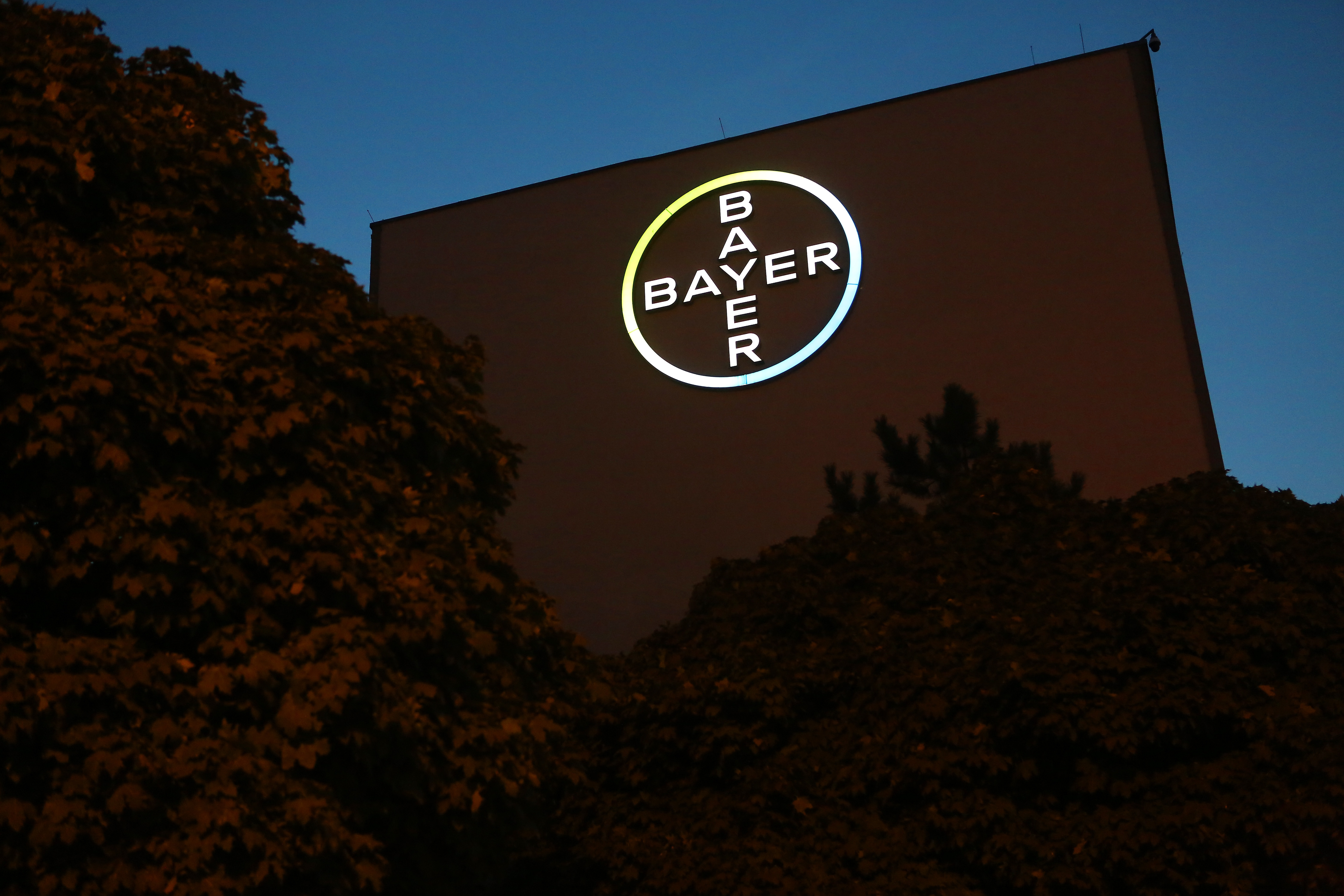 Überraschende Wende: Trump-Regierung hilft Bayer bei Roundup-Klagen