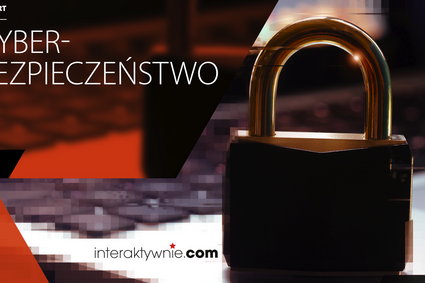 Polskie firmy szczególnie narażone na cyberataki [RAPORT]