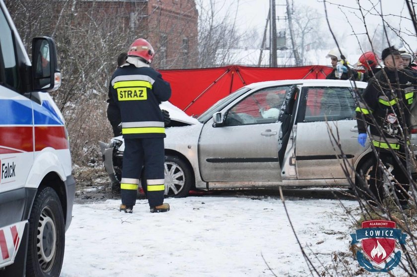 Samochód uderzył w drzewo. Wypadek pod Łowiczem