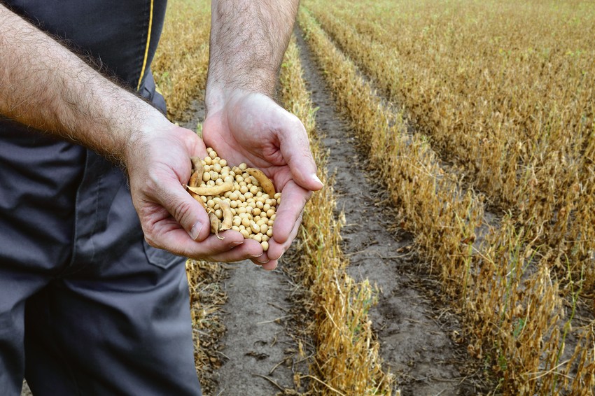 Razlike u kvalitetu između uvoznog i domaćeg pasulja nema, 
a cena je znatno različita