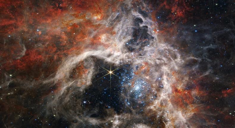 Webb captured the Tarantula Nebula star-forming region in this mosaic image stretching 340 light-years across.NASA, ESA, CSA, STScI, Webb ERO Production Team