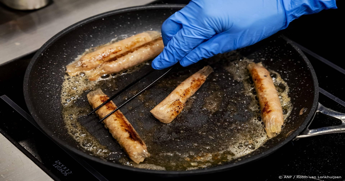 -15-miljoen-voor-Mosa-Meat-terwijl-concurrent-Meatable-sluit