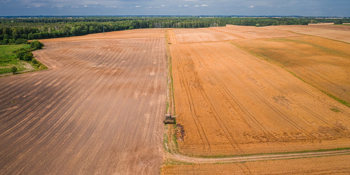 Obecnie na farmie uprawia się pszenicę, rzepak i buraki cukrowe.