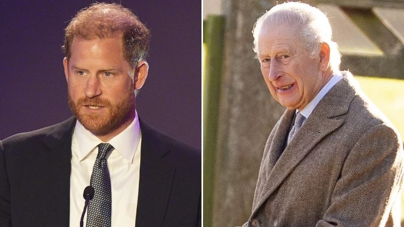 Princ Harry a kráľ Karol III.