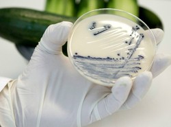 Niemcy liczą chorych. Sto nowych zakażeń dziennie